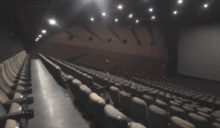 奥斯卡内部爆料最新消息